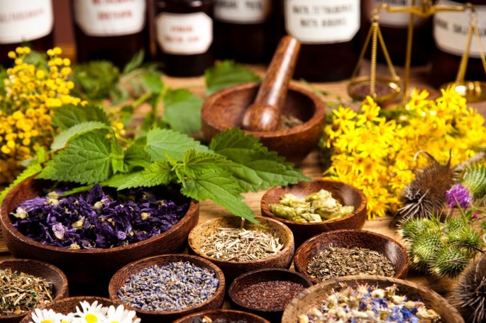plantes médicinales des pyrénées